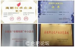 合肥论坛----安徽地域的收集门户分析论坛